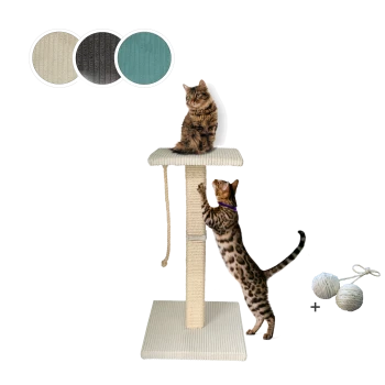 Zwei Katzen interagieren mit einem beigen Katzenbaum; eine sitzt oben, während die andere klettert. Enthält drei Farbproben und zwei Spielbälle.
