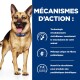 Un heureux berger allemand avec un collier bleu se tient à gauche, à côté d'un texte en français sur les avantages d'ActivBiome+ pour les microbiomes des animaux de compagnie.