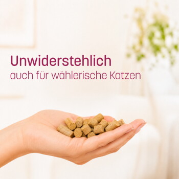 Getigerte Katze, die aus einer Leckerlidose per Hand gefüttert wird; sichtbarer Text: 'Hypoallergen & funktional' und 'das tut deiner Katze gut'