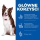 Szczęśliwy brązowo-biały border collie siedzi na niebieskim tle z korzyściami karmy dla psów, takimi jak ActivBiome+ dla trawienia i zdrowych stolców.