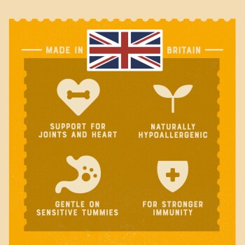 Infographic highlighting pet food benefits: support for joints and heart, hypoallergenic, gentle on tummies, stronger immunity. Made in Britain.