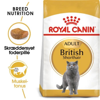 Royal Canin Adult British Shorthair Katzenfutterbeutel mit einer grauen British Shorthair Katze, mit Text, der die Rassenernährung und maßgeschneiderte Kroketten hervorhebt.