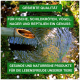 Bild eines Bambus-Wasserhahns, der in einen rippligen Teich gießt, mit grünem Text, der 'Sieved Quality' angibt und gesunde Produkte für verschiedene Haustiere bewirbt.