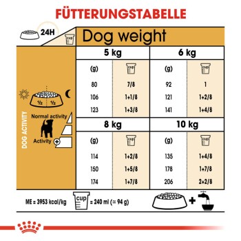Jack Russell Terrier Adult 1,5 kg