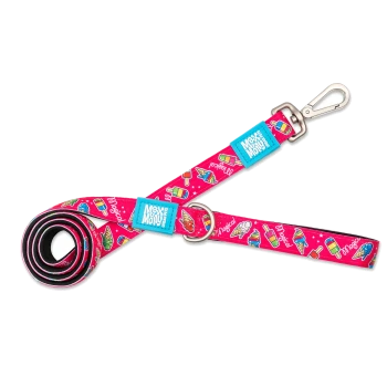 Helles pinkes Hundeleinen mit bunten Eis- und Popsicle-Mustern, blauen Anhängern mit der Aufschrift "Max & Molly" und einem Metallclip.