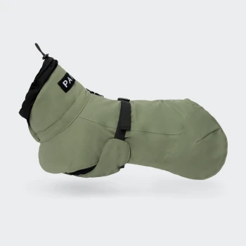 Grüner Hunderegenmantel mit schwarzem verstellbarem Riemen und Kapuze, mit "PAW" am Kragen, auf weißem Hintergrund dargestellt.