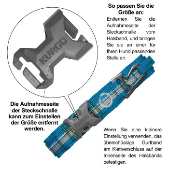 Bild eines Kurgo-Hundehalsbands mit verstellbarem Schnallenverschluss. Der Text erklärt, wie man die Größe anpasst und den überschüssigen Riemen sichert.