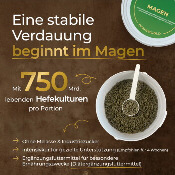 Behälter für das Pferdegold-Pferdeergänzungsmittel mit Zutaten wie Samen und Apfel, mit Text zur Zufriedenheitsgarantie.