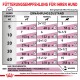 Fütterungsempfehlung für Ihren Hund: Tabelle, die die Futterportionen basierend auf Gewicht und Ernährungsstatus detailliert, mit einem Energiegehalt von 954 kcal/kg.