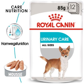 Urinary Care Adult Mousse 12x85 g