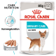 Verpackung von Royal Canin Urinary Care Hundefutter mit einer kleinen Hundillustration, die "85g x 12" und "Alle Größen" mit einer Mousse-Textur angibt.
