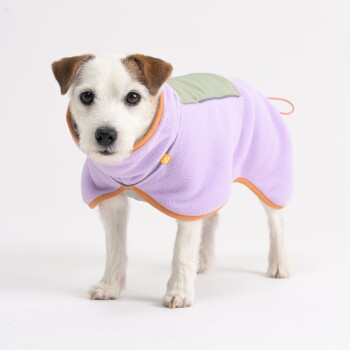 Kleiner Hund trägt einen hellvioletten Fleece-Mantel mit oranger Einfassung und grünem Fleck auf dem Rücken, steht vor weißem Hintergrund.