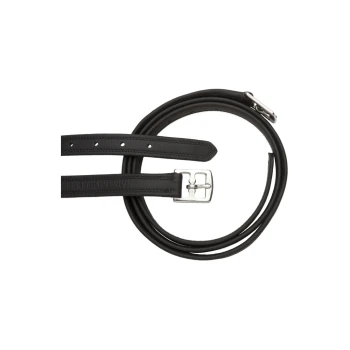 Schwarze Leder-Hundeleine mit einer silbernen Schnalle, ordentlich auf einem weißen Hintergrund gewickelt.