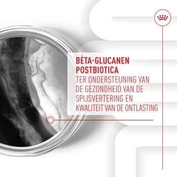 Bèta-glucanen postbiotica productafbeelding met tekst die de spijsverteringsgezondheid en ondersteuning van de ontlastingkwaliteit promoot.