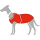 Ein Greyhound, der einen leuchtend roten Hundemantel mit weißem Rand trägt, vor einem weißen Hintergrund stehend.