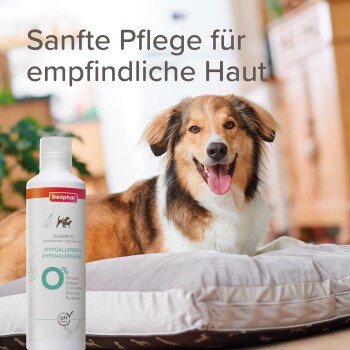 Hypoallergenes Hundeshampoo-Fläschchen neben einem Hund, der auf einem Kissen liegt, mit deutschem Text „Sanfte Pflege für empfindliche Haut.“