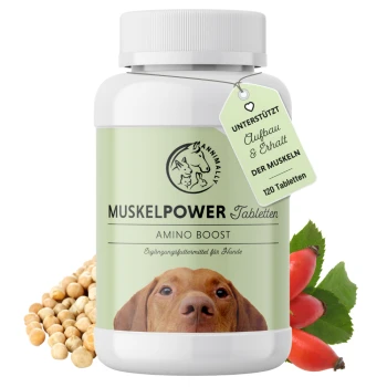 Eine Flasche "Muskelpower Amino Boost" Hundefutterergänzungstabletten, mit dem Gesicht eines Hundes auf dem Etikett, daneben Sojabohnen und Hagebutten.