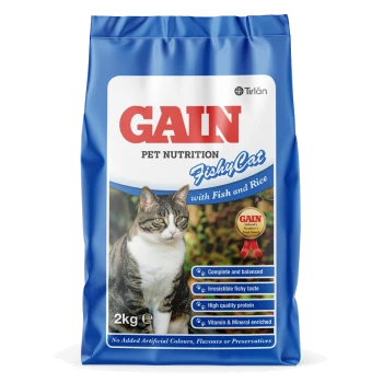 Blue GAIN FishyCat pet food bag (2kg) with tabby cat, labeled "with Fish and Rice," promoting "Complete and balanced" and "High quality protein."