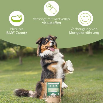 Ein glücklicher Hund steht auf seinen Hinterbeinen neben einem Sack "3-in-1 BARF Flakes Mix" und hebt seine ernährungsphysiologischen Vorteile hervor.