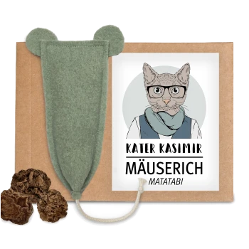 Eine Pappverpackung mit einem grünen Filzmausspielzeug und drei Matatabi-Stäbchen, beschriftet mit "KATER KASIMIR MÄUSERICH MATATABI."