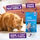 Tigré orange reniflant des croquettes à côté d'un sachet bleu Edgard Cooper 'Crunchies' ; texte français visible : 'Saumon frais', 'Herbe à chat'.