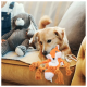 Ein hellbrauner Hund liegt auf einer Couch und schnüffelt an einem orangefarbenen Fuchsspielzeug mit Seilschwänzen, während ein grauer Plüschhase in der Nähe sitzt.