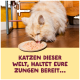 Flauschige cremefarbene Katze leckt Nassfutter von einem Teller auf Holzboden; Bildunterschrift: ‚KATZEN DIESER WELT, HALTET EURE ZUNGEN BEREIT...‘