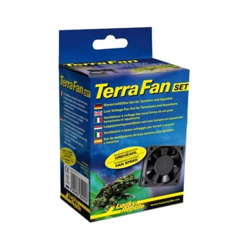 Kit outils - entretien du terrarium
