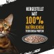 Eine Nahaufnahme des Gesichts einer Katze neben einem Teller mit Nassfutter für Katzen, mit dem Text "Hergestellt mit 100% natürlichem tierischem Protein."