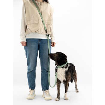 Nahaufnahme eines mintgrünen Haustierleinenanschlusses, der an einer hellgrauen Jacke befestigt ist, mit Details zu Schnalle und Riemen.