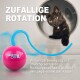 Schwarze Katze, die aus einer kreisrunden Öffnung nach einem pinken Modern Cat-Spielzeug mit blauem Stab greift; sichtbarer Text „ZUFÄLLIGE ROTATION“.