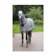 Ein graues Pferd, das eine schwarz-weiße Decke mit Zebramuster trägt, steht auf einem Ziegelweg in einem grünen Garten.