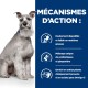Un chien est assis à côté d'un panneau bleu mettant en avant les avantages de la nourriture pour animaux : digestible, faible en gras, mélange prébiotique-gingembre, antioxydants et Omega-3.