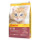 Eine Tüte Josera Kittenfutter mit einem flauschigen orangefarbenen Kätzchen. Höhepunkte: "Leicht verdaulich," "92% tierische Zutaten," und "35/22" Protein/Fett.