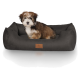 Flauschiger braun-weiß Welpe sitzt in einem dunkelgrauen, rechteckigen Hundebett mit vorderem Lederlabel, auf dem kleiner Text zu sehen ist.