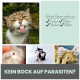 Eine verspielte Katze mit herausgestreckter Zunge, umgeben von Zeckenbildern, einer kratzenden Katze und einem Tierarzt. Text: "Schütze Katzen vor: Zecken, Flöhen, Mücken, Milben."