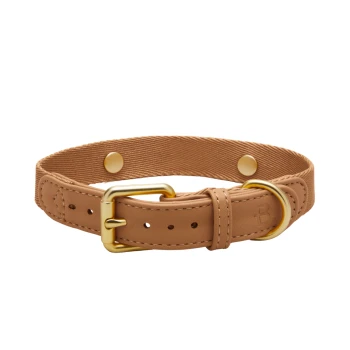 Beiger Leder-Haustierhalsband mit goldener Schnalle und D-Ring, mit einem schlichten Design und verstellbarem Sitz.
