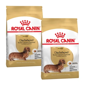 Zwei Säcke Royal Canin Hundefutter für erwachsene Dachshunde, mit goldener Farbe und Bildern der Rasse auf der Verpackung.