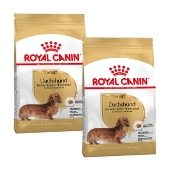 Zwei Säcke Royal Canin Hundefutter für erwachsene Dachshunde, mit goldener Farbe und Bildern der Rasse auf der Verpackung.