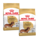 Zwei Säcke Royal Canin Hundefutter für erwachsene Dachshunde, mit goldener Farbe und Bildern der Rasse auf der Verpackung.