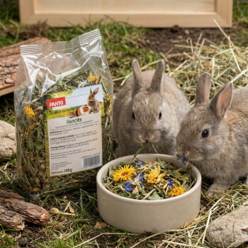 Graues Kaninchen frisst getrocknete Kräuter aus einer Schale neben einem Beutel PANTO Löwenzahn-Tierfutter auf Stroheinstreu.