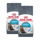 Twee zakken Royal Canin Urinary Care kattenvoer, met een tabby kat en tekst over de voordelen voor de urinegezondheid en resultaten binnen 10 dagen.