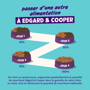 Passer à Edgard & Cooper : quatre bols de nourriture pour animaux étiquetés Jour 1–4 avec 25 %, 50 %, 75 %, 100 %.