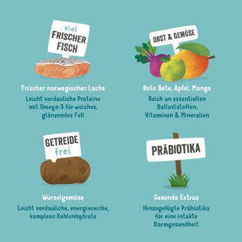 Infografik, die Zutaten für Tierfutter zeigt: frischer norwegischer Lachs, Früchte, Gemüse, getreidefreie Wurzeln und Präbiotika für die Darmgesundheit.