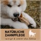 Ein Hund, der ein natürliches Zahnpflegeprodukt kaut, mit dem Text "NATÜRLICHE ZAHNPFLEGE reinigt & stärkt die Zähne" darunter.
