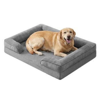Gelber Labrador Retriever liegt glücklich auf einem grauen rechteckigen Bolster-Hundebett.