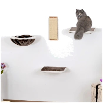 Eine graue Katze sitzt auf einem wandmontierten Regal mit einer weichen, plüschigen Oberfläche, neben einem gemütlichen Hängesofa und einem Kratzbaum.