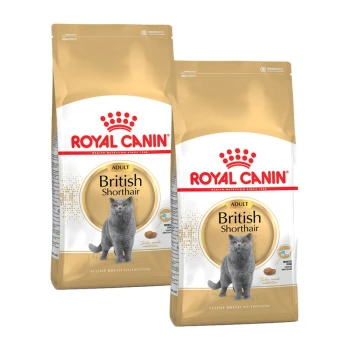Zwei Beutel Royal Canin Adult British Shorthair Katzenfutter, mit einer grauen British Shorthair Katze auf der Vorderseite, mit einem gold-weißen Design.
