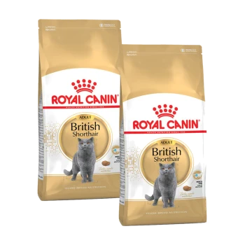 Deux sacs de nourriture pour chats Royal Canin Adult British Shorthair, présentant un chat British Shorthair gris sur le devant, avec un design doré et blanc.
