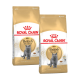 Zwei Beutel Royal Canin Adult British Shorthair Katzenfutter, mit einer grauen British Shorthair Katze auf der Vorderseite, mit einem gold-weißen Design.